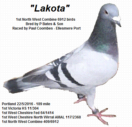 C:\Users\alan\Documents\Alan Pigeons\2016 reports\Amal Reports\Completed reports\Portland Paul Coombes\Lakota1.png