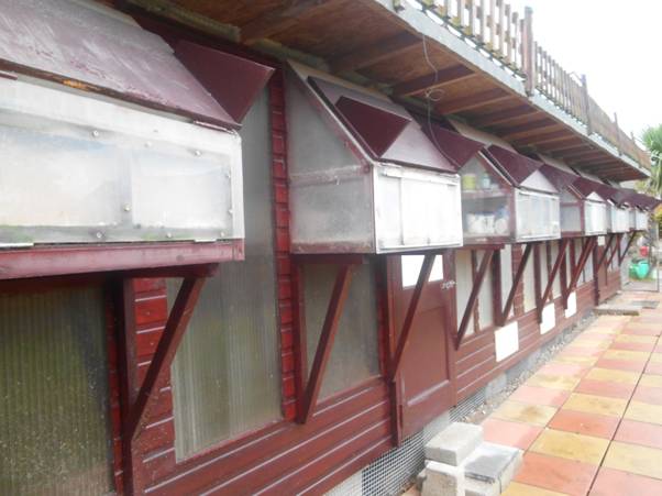 C:\Users\alan\Documents\Alan Pigeons\2016 reports\Steve Williams\Photos\DSCN0832.JPG