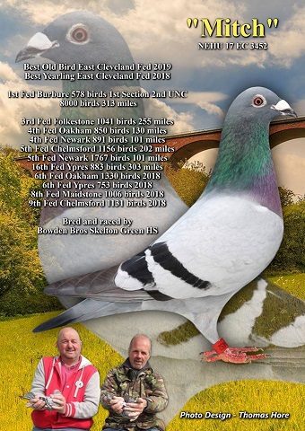 Mitch Bird of Year 10-08-19