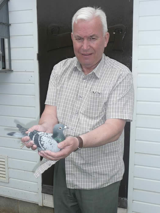 Loft Report On John Rimmer of Vauxhall Homing Society