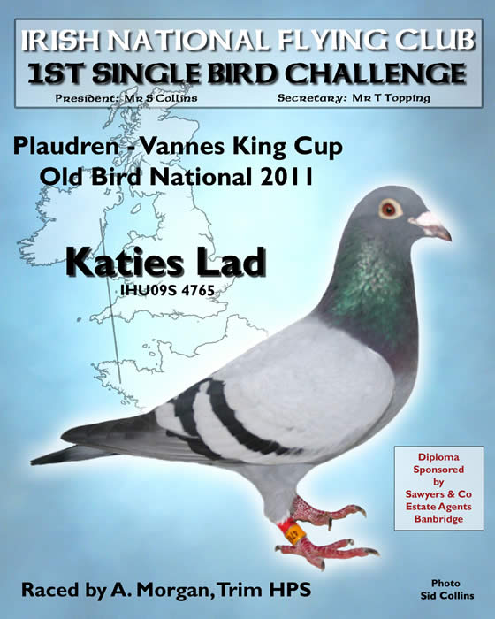 Single Bird Challenge 2011