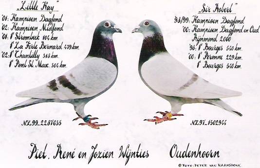 Deno- Herberts of Leefdaal 1st National Limoges, 17,469 Yearlings, 2005