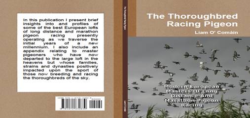 The Thoroughbred Racing Pigeon