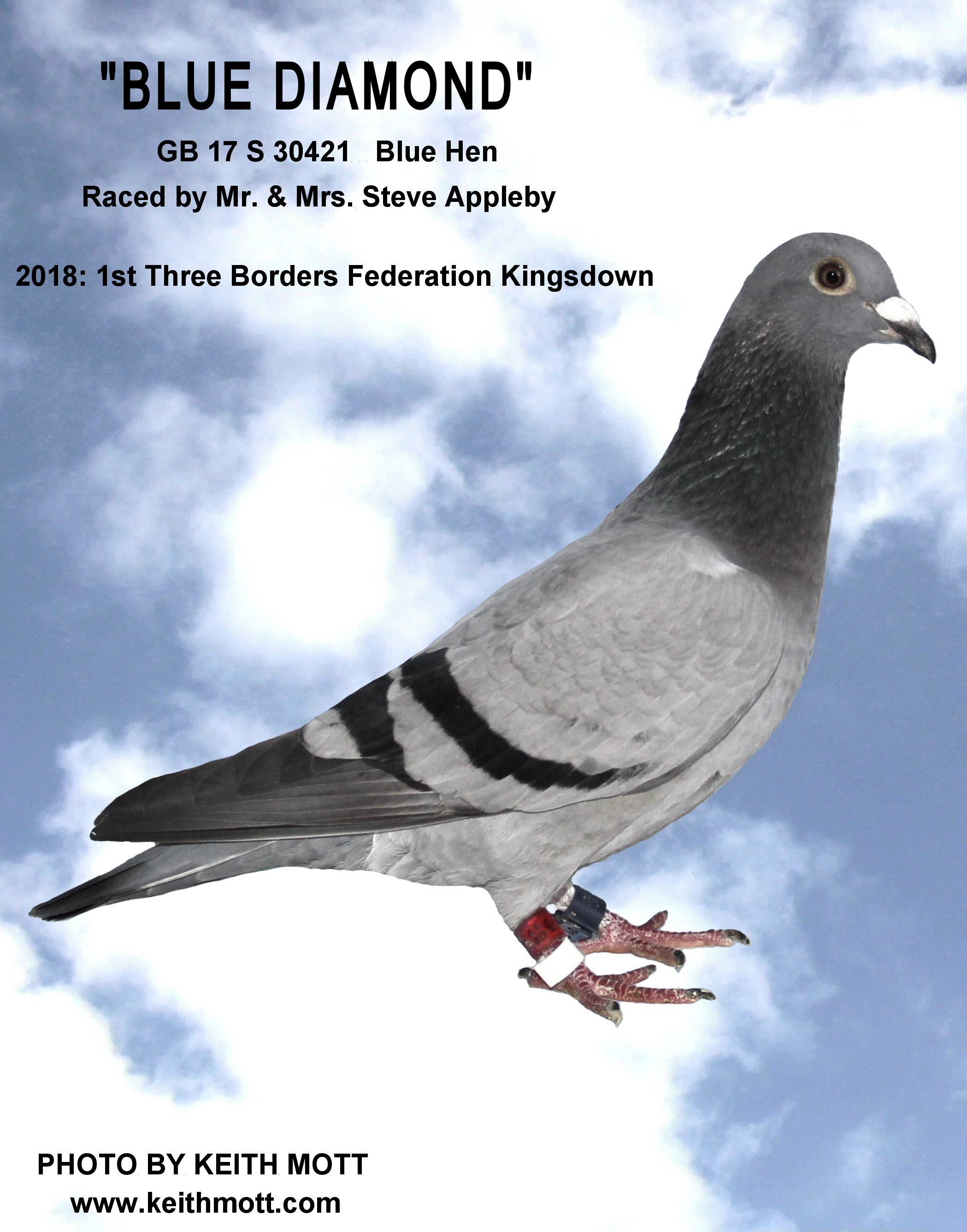 APPLEBY 4BB