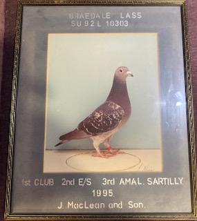 22