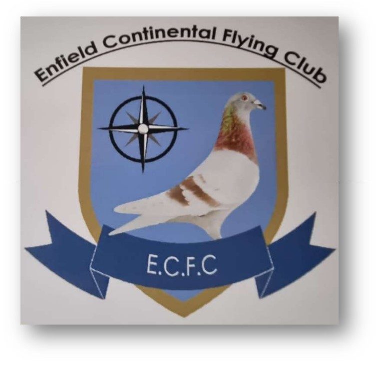 ENFIELD CONTINENTAL FLYING CLUB - 19-05-25