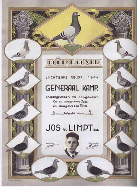 Picture1 Securing his place in pigeon racing history general champion 1948 for Jos Van Limpt