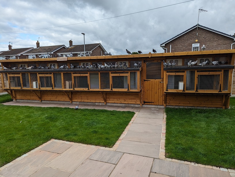 L J Parkinson 040823 Elimar Pigeon Services Limited