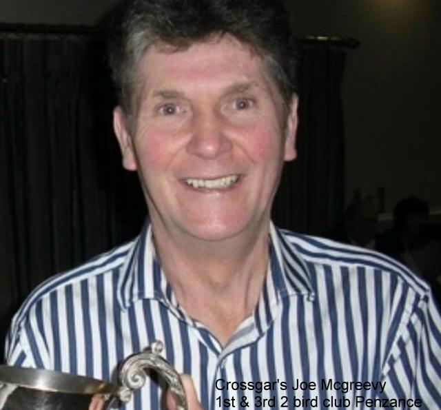 joe McGreevy
