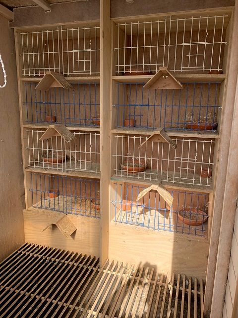 hens section