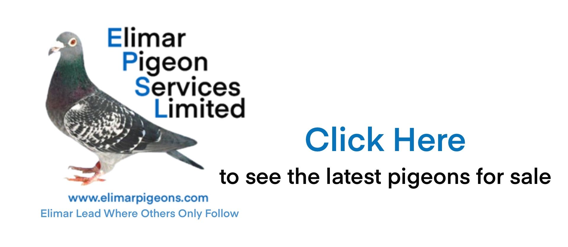 Elimar 2021 Small Website Link Logo