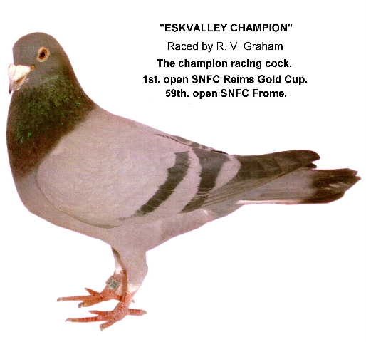 Eskvalley Champion