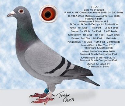 ISLA
