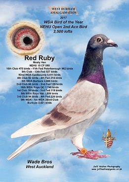 Red Ruby
