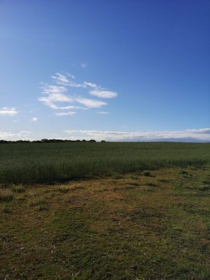 more clear skys