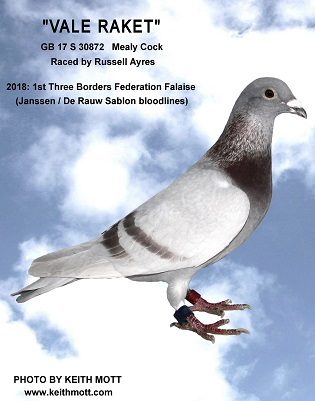 vale rack russ