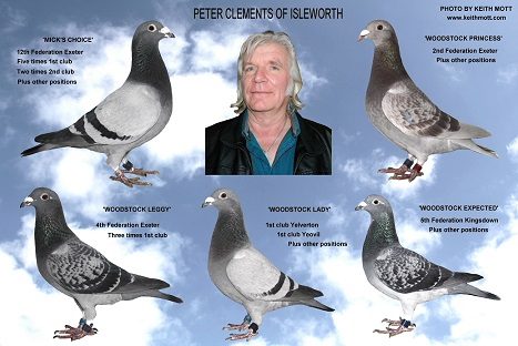 29C peter 2