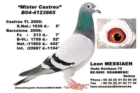 Mister Castres