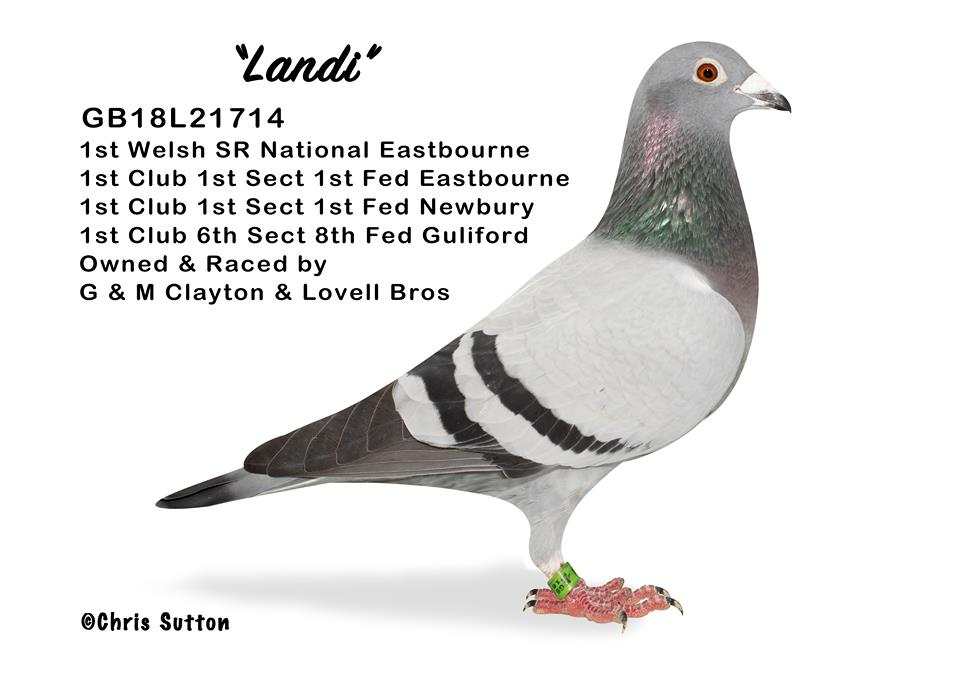 Landi 2