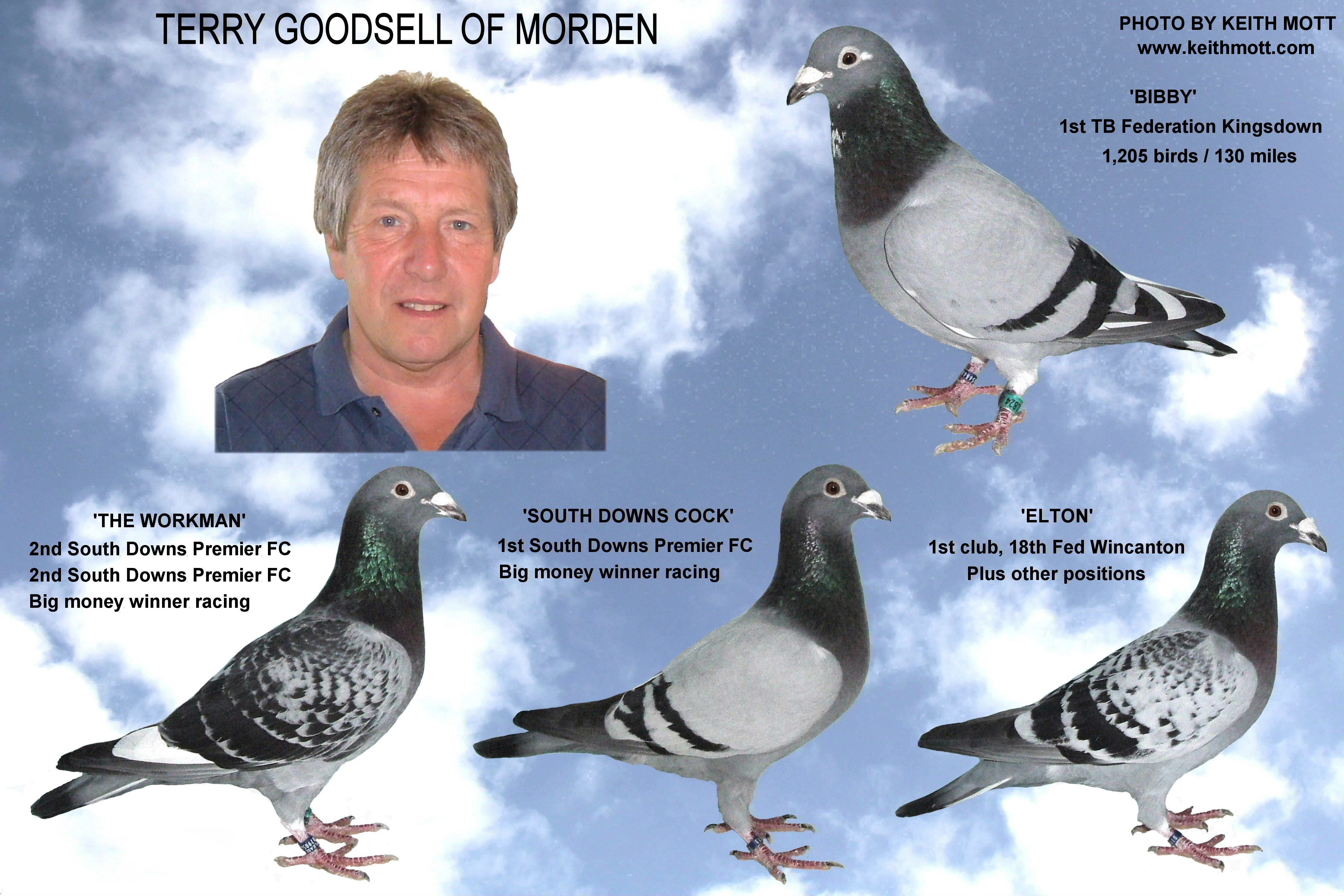 Terry Goodsell 1