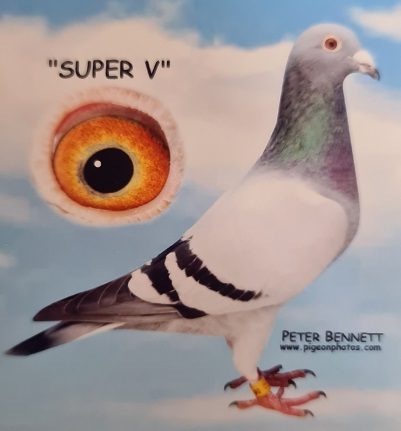 super V