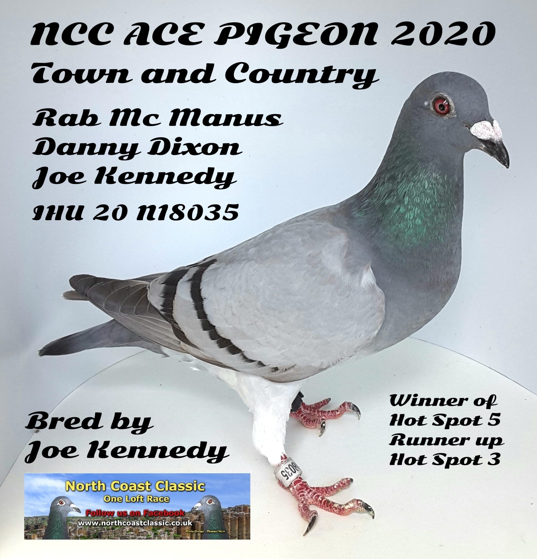 NCCAce Bird 2020