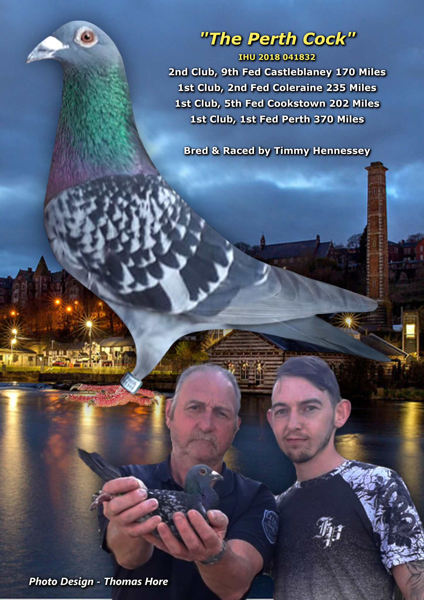 Perth Cock Tim Snr Son Jamie