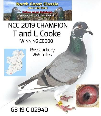 nccwinner19