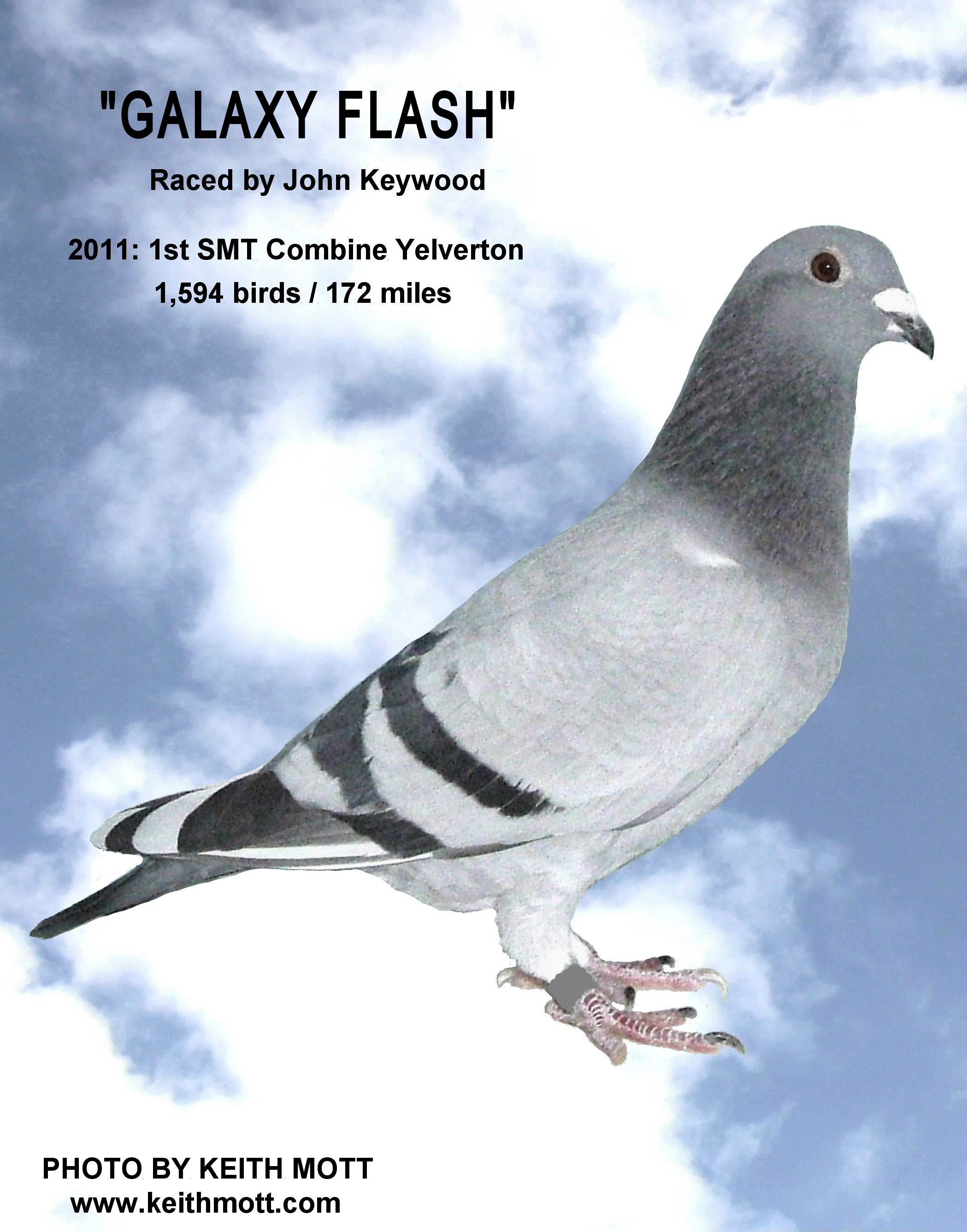 28C 16 10 20
