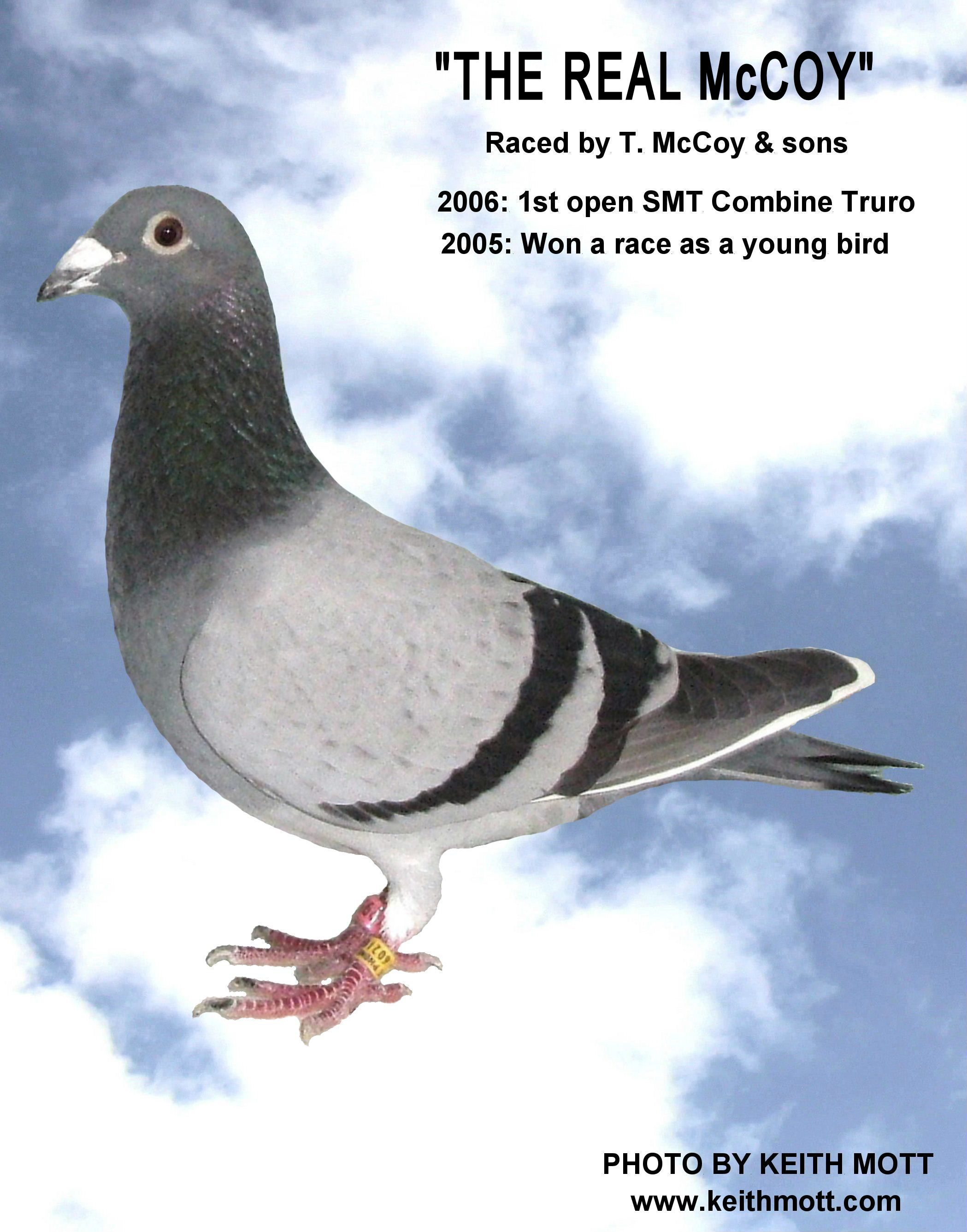 30C 23 10 20