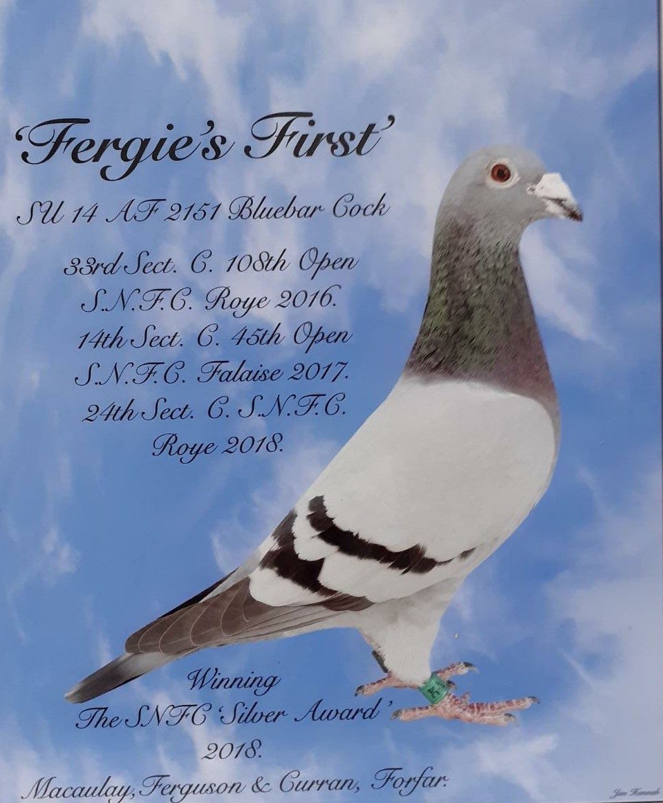 Fergies First see text