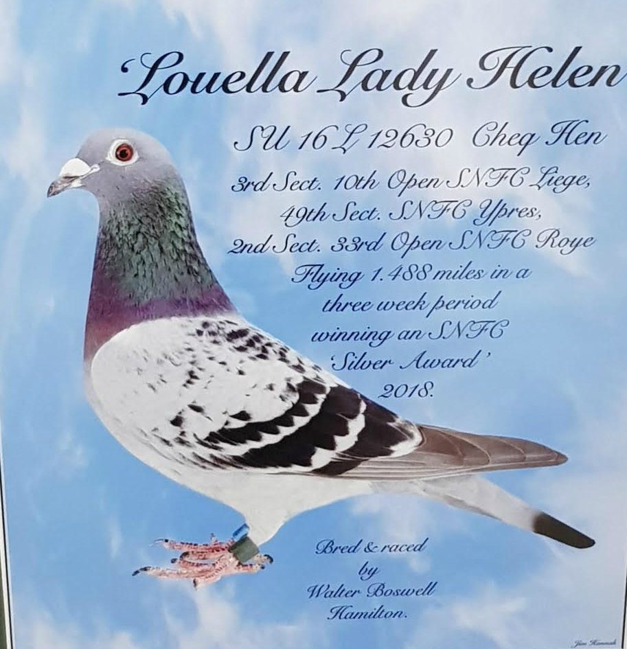 Louella Lady Helen see text 22 10 20
