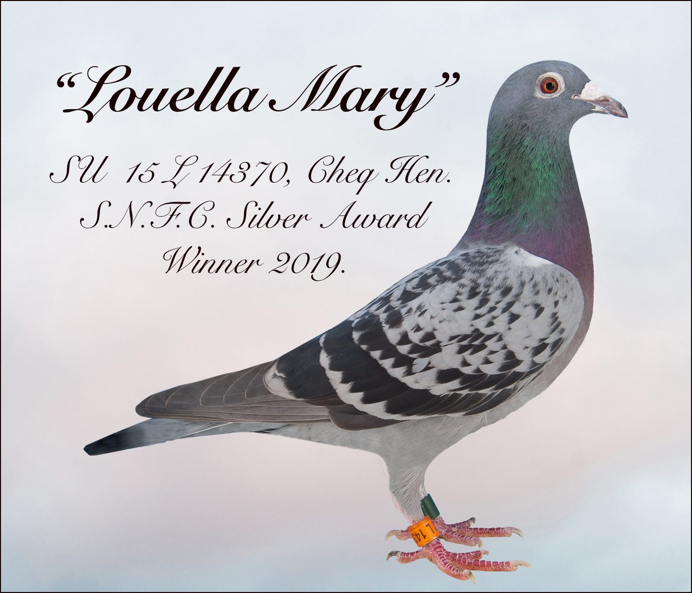 Louella Mary