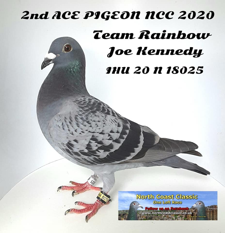 NCC2ndAceBird20