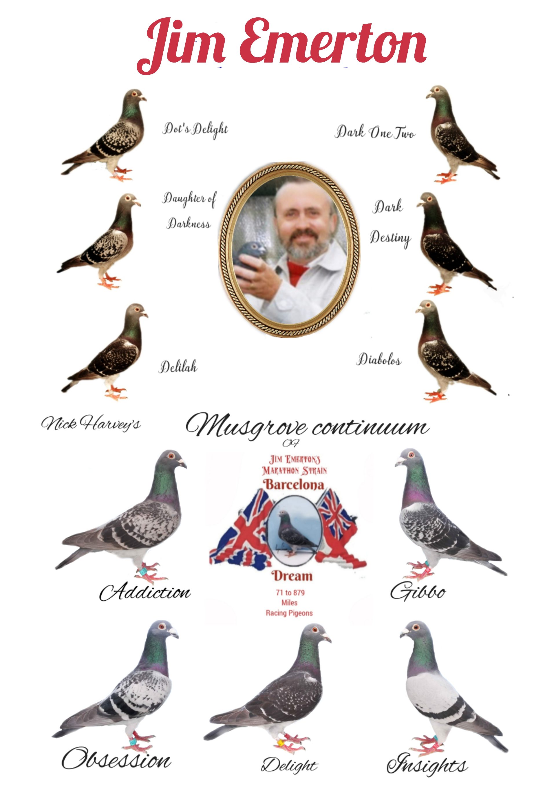 Epigenetics and Racing pigeons.