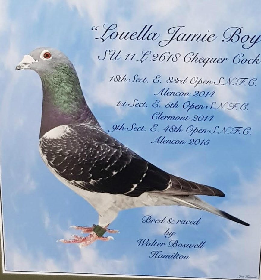 Louella Jamie Boy see text 