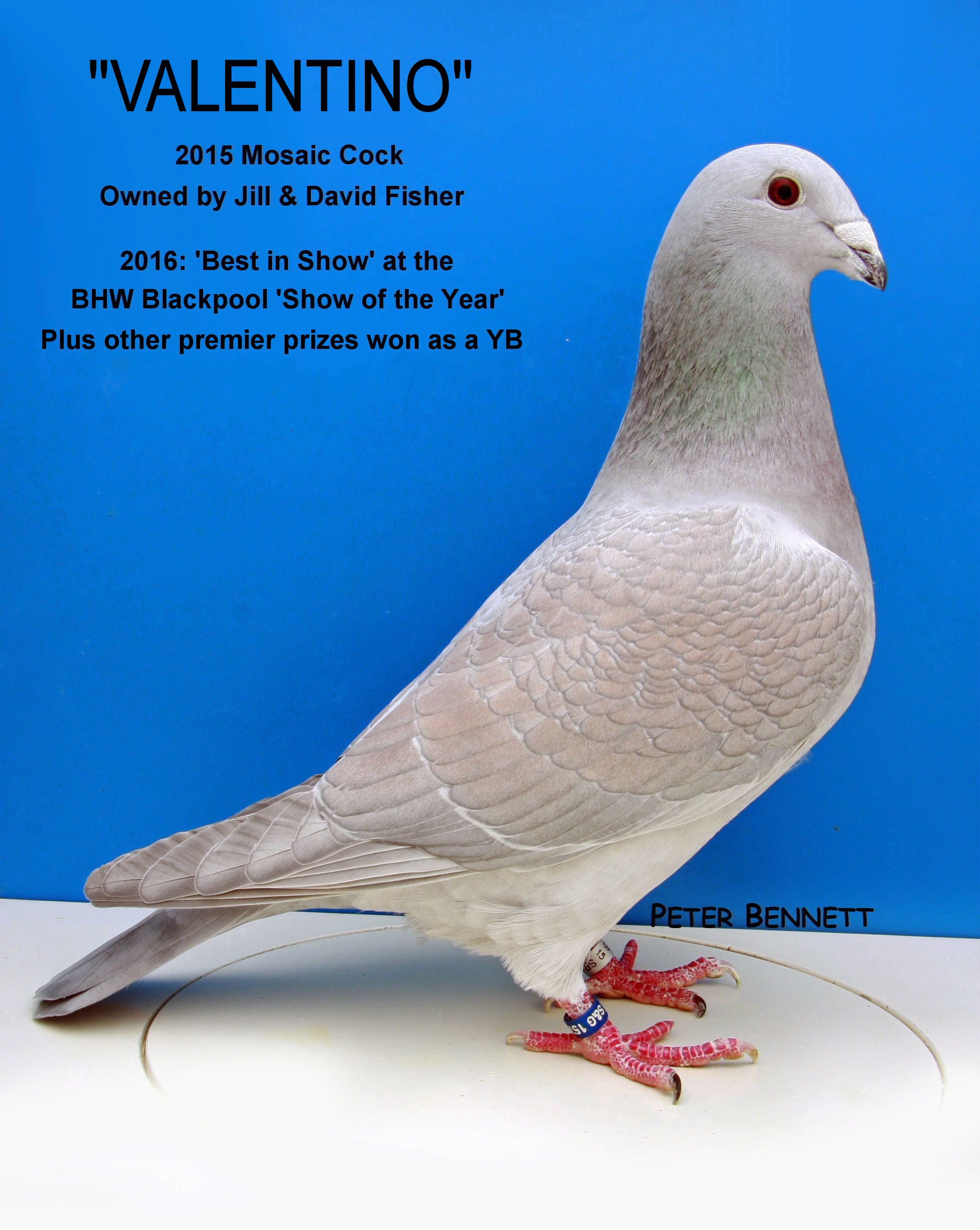 2F 22 12 20