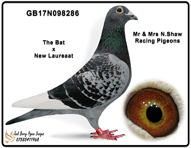 286