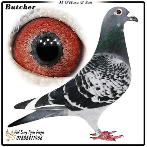 D523ED01 BB08 4DC7 AECF 3E5BE3D54D21 1