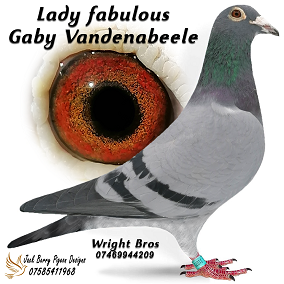lady fabulous