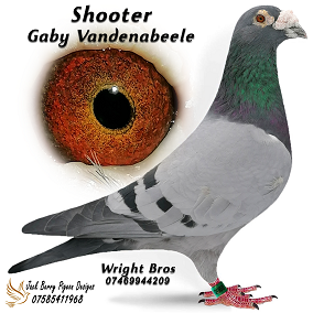 shooter