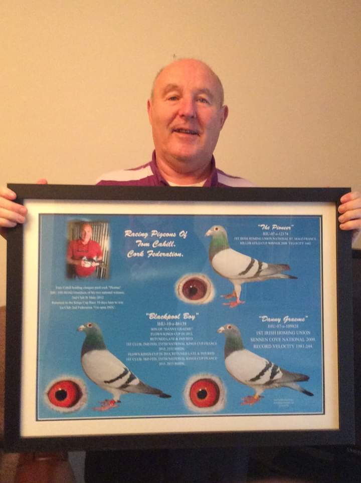 Tom Cahill with his beautiful framed display