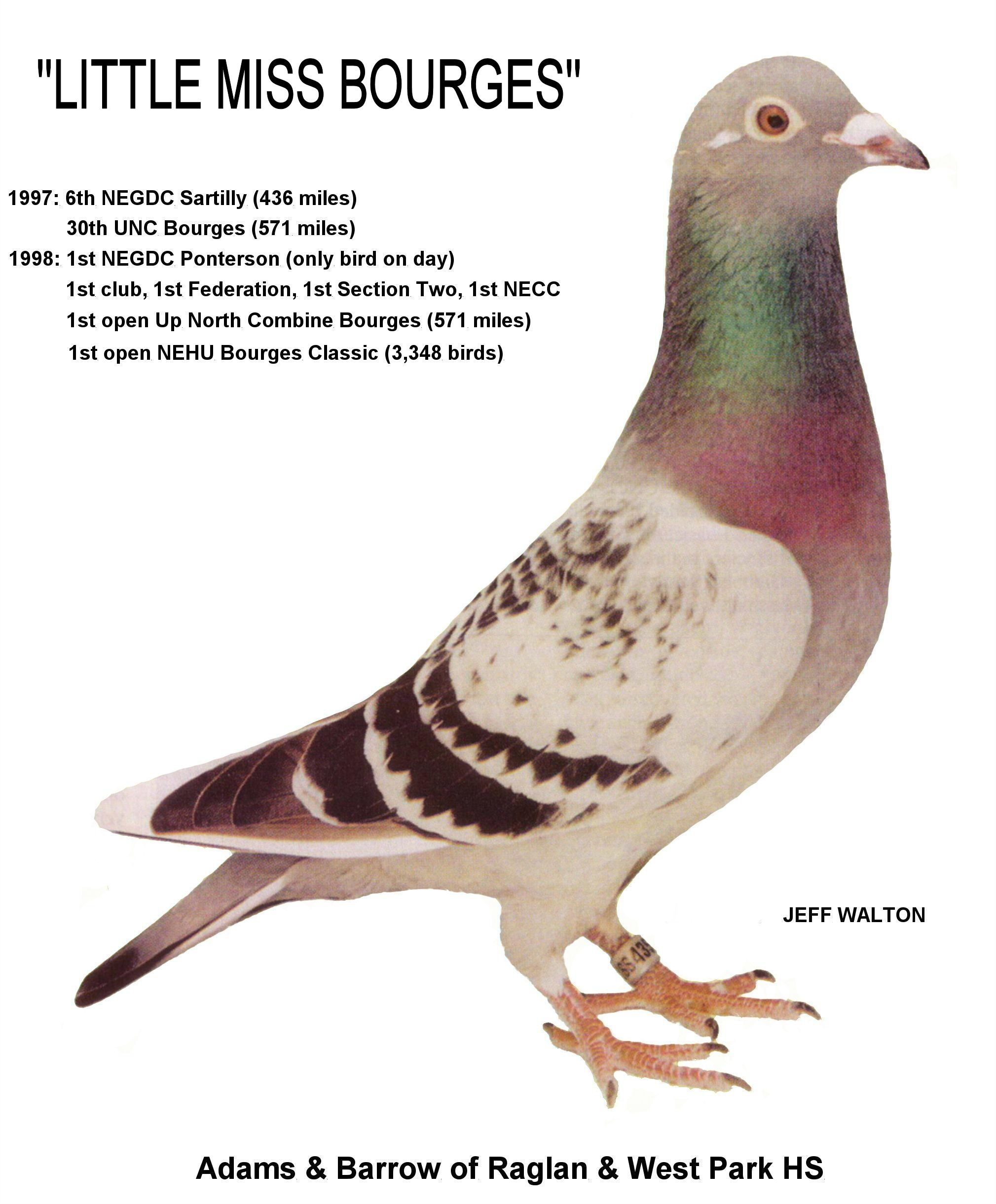 29E 08 04 21