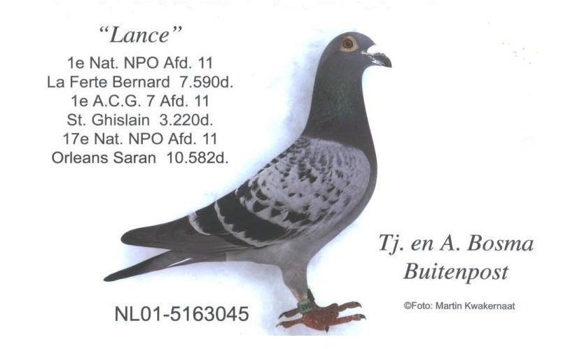 Lance