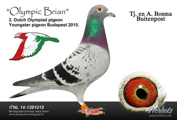 Olympic Brian