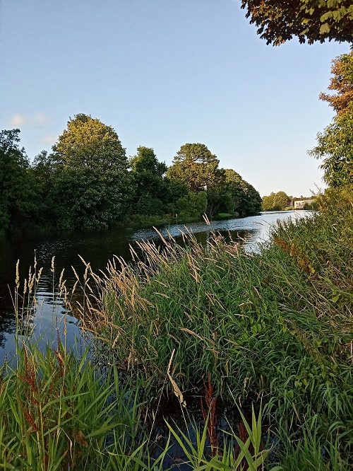 The beautiful River Lee in all its glory. 19 10 21