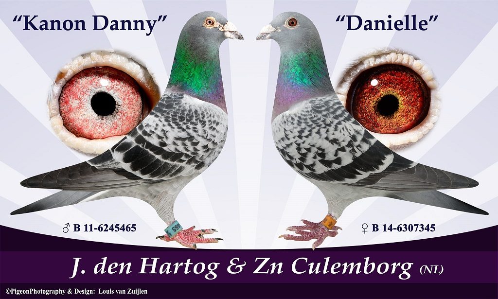 kanon danny and danielle