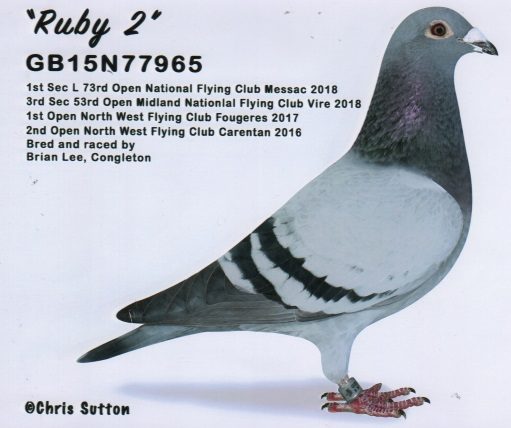 ruby 2 14 10 21