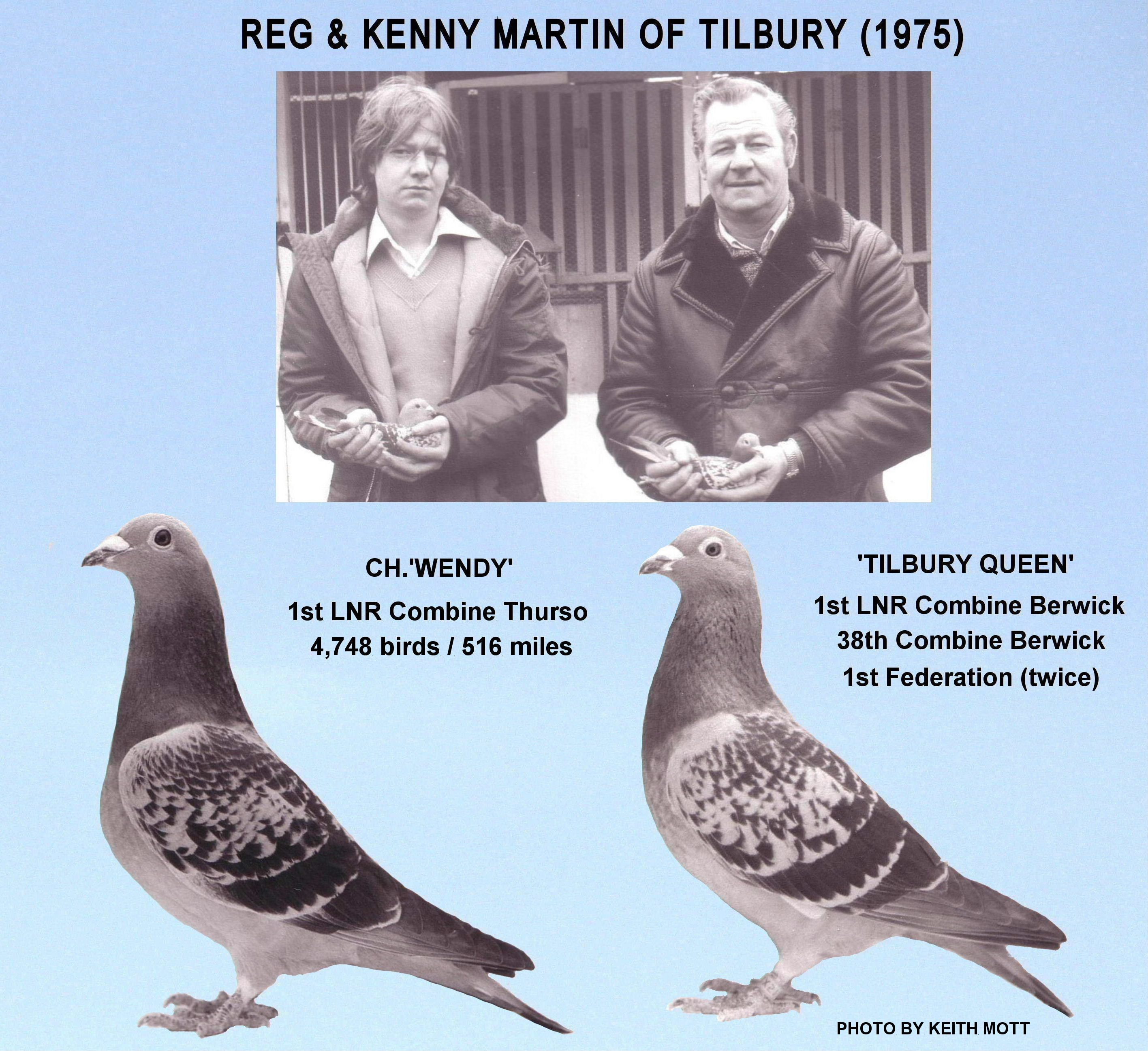29D 19 11 21