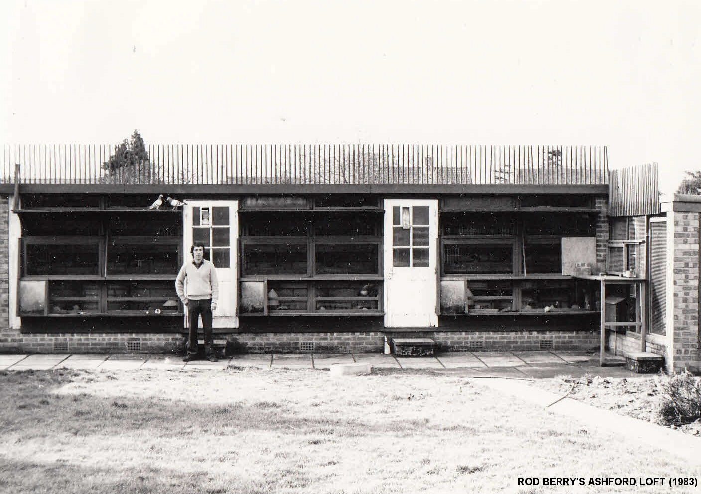 29I 19 11 21